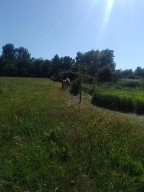 Maison individuelle 5 couchages dans Ferme Equestre